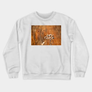 The Rhythm of Nature Crewneck Sweatshirt